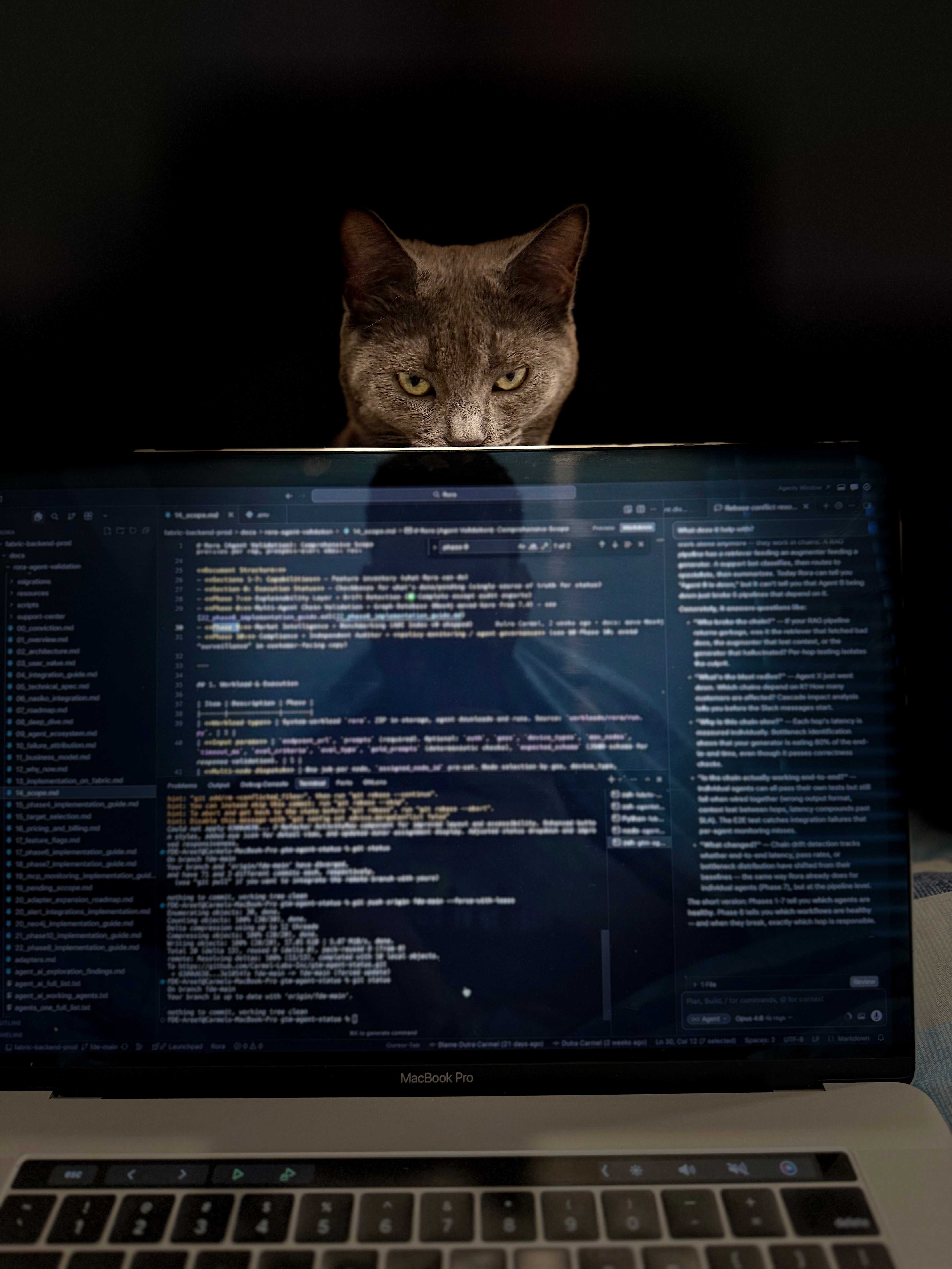 Gray cat peering over a MacBook Pro screen showing code in a dark room